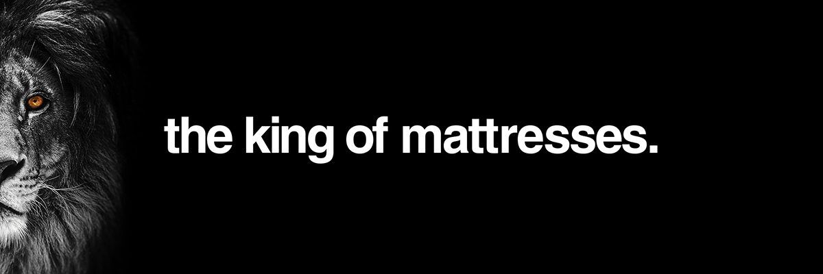 lion memory foam mattress