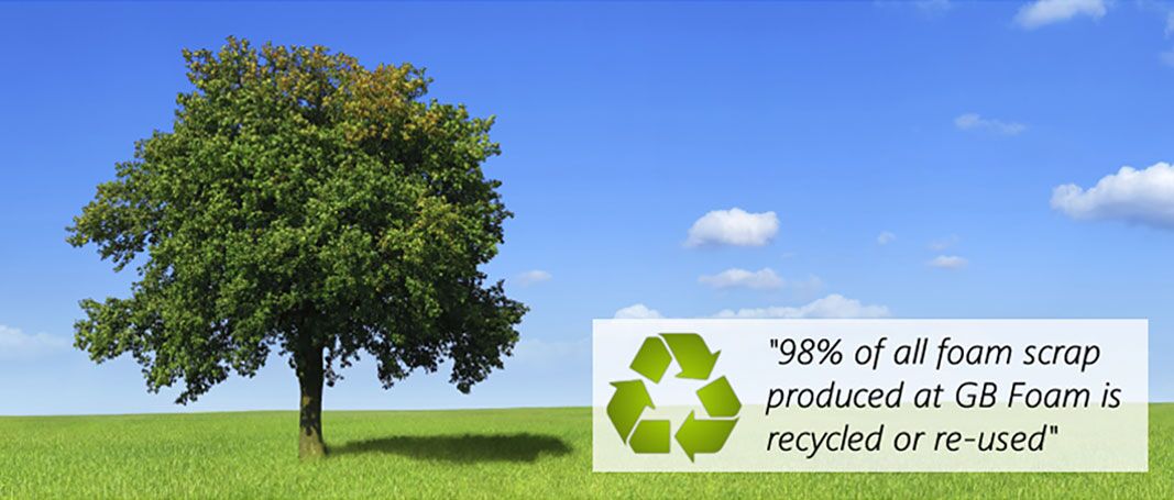 Foam Environmental Policy
